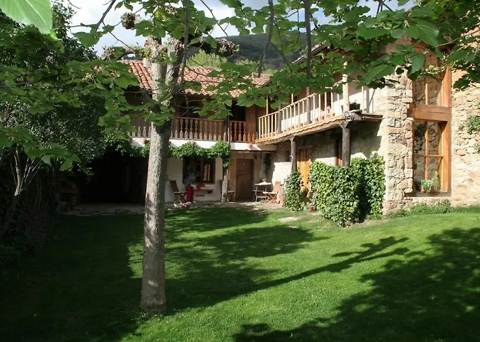 El Canto Del Gallo