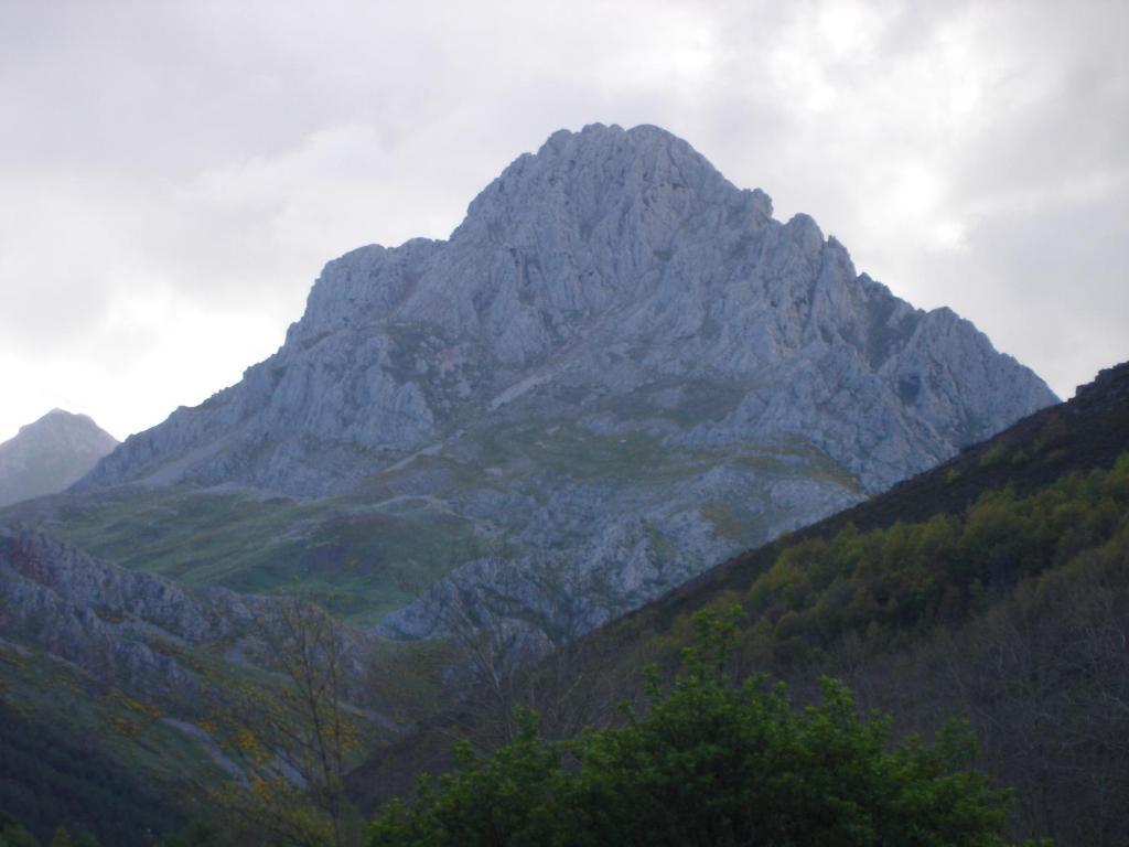 El Canto Del Gallo